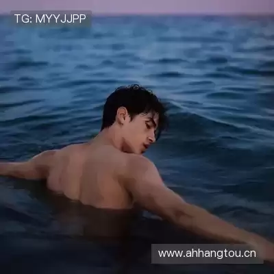 陆冶书
